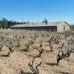 Thevenet